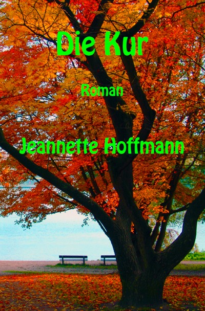 'Cover von Die Kur'-Cover