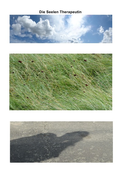 'Cover von Die Seelen Therapeutin'-Cover