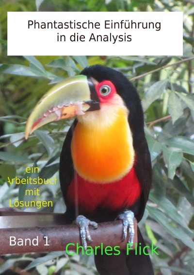 'Cover von Phantastische Einführung in die Analysis'-Cover