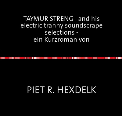 'Cover von TAYMUR STRENG   and his electric tranny soundscrape selections –                                ein Kurzroman von'-Cover