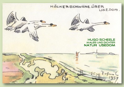 'Hugo Scheele   Natur Usedom'-Cover