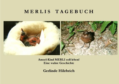 'Cover von Merlis Tagebuch'-Cover