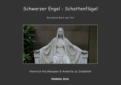 'Cover von Schwarzer Engel – Schattenflügel'-Cover