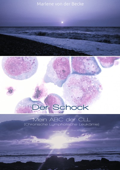 'Der Schock'-Cover
