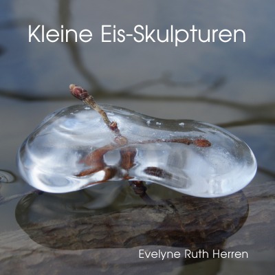 'Cover von Kleine Eis-Skulpturen'-Cover