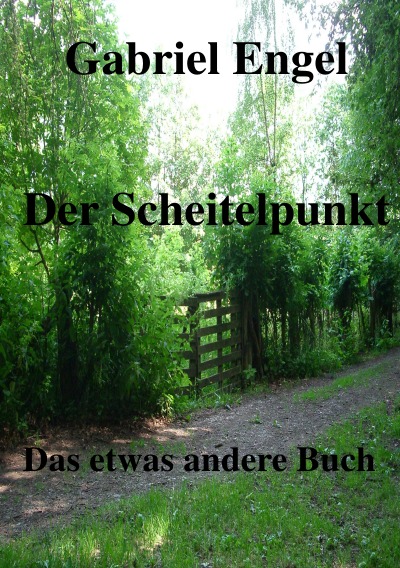 'Cover von Der Scheitelpunkt'-Cover