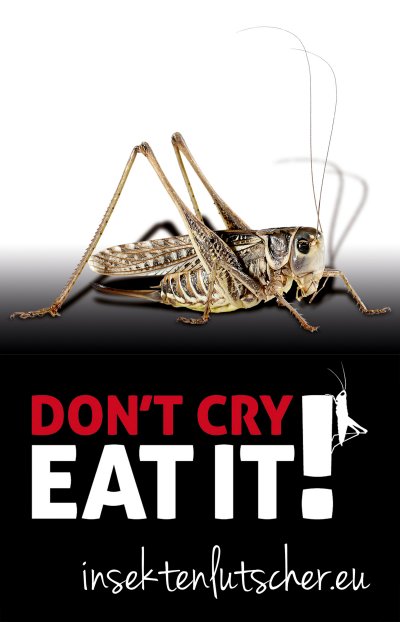 'Don’t cry. Eat it!'-Cover