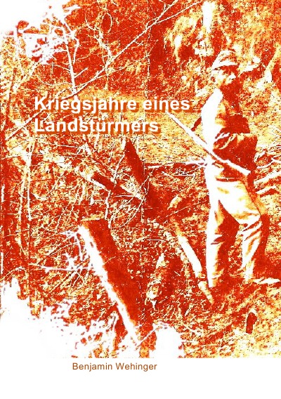 'Cover von Kriegsjahre eines Landstürmers'-Cover
