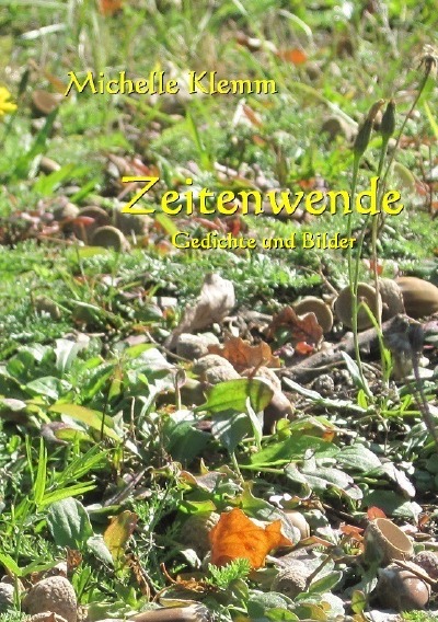 'Cover von Zeitenwende'-Cover