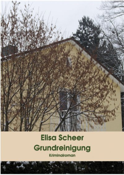 'Cover von Grundreinigung'-Cover