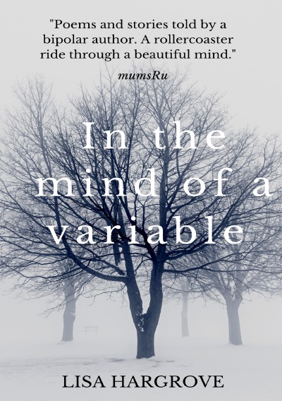 'In the mind of a variable'-Cover