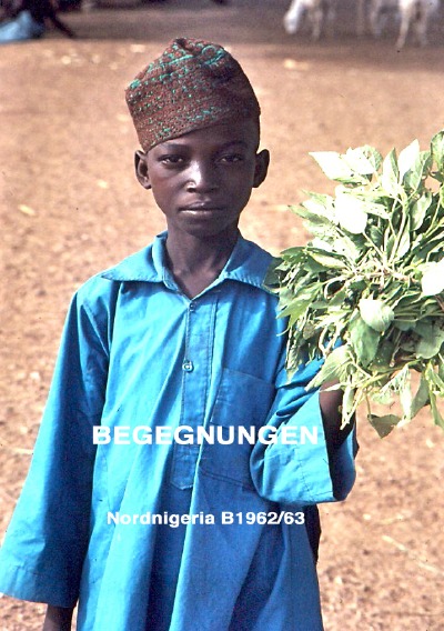 'Cover von Begegnungen'-Cover