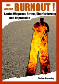 Nie wieder Burnout! - Sanfte Wege aus Stress, Überforderung und Depression. - Steffen Grimmling