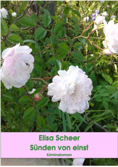 'Cover von Sünden von einst'-Cover