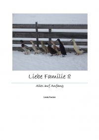 Liebe Familie 8 - Alles auf Anfang - Linda Fischer