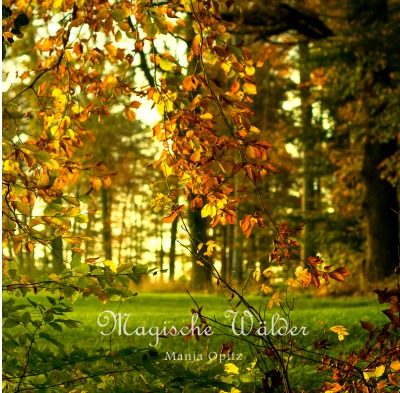 'Cover von Magische Wälder'-Cover