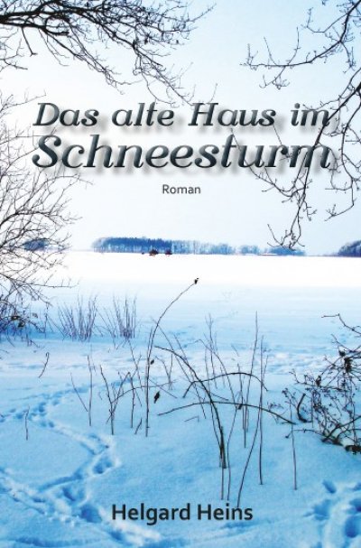 'Cover von Das alte Haus im Schneesturm'-Cover