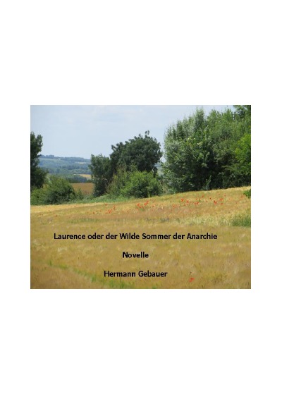 'Laurence oder der Wilde Sommer der Anarchie'-Cover
