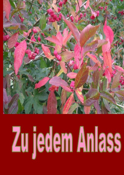 'Cover von Zu jedem Anlass'-Cover