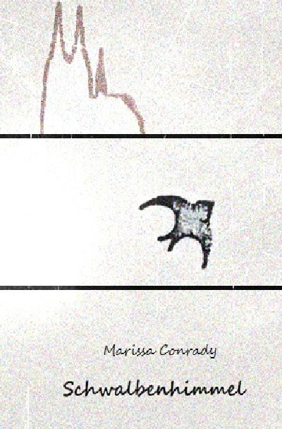 'Cover von Schwalbenhimmel'-Cover