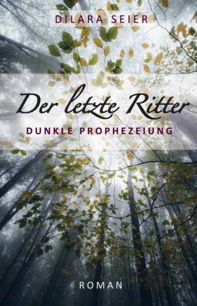 'Cover von Der letzte Ritter'-Cover