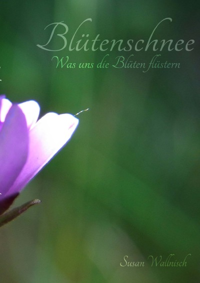 'Cover von Blütenschnee'-Cover