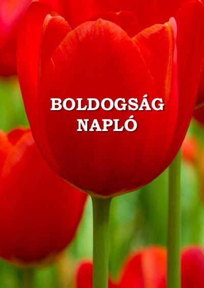 'Cover von Boldogságnapló'-Cover