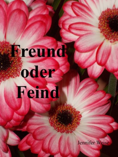 'Cover von Freund oder Feind'-Cover