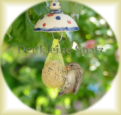 'Cover von Der kleine Spatz'-Cover