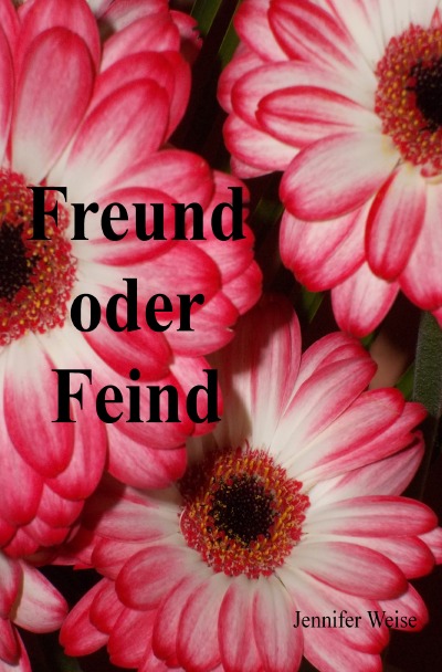 'Freund oder Feind'-Cover