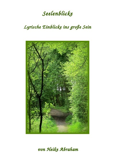 'Cover von Seelenblicke'-Cover