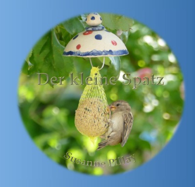 'Cover von Der kleine Spatz'-Cover