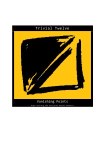 Trivial Twelve Vanishing Points - High-Jacking the Ultimate Annual Nowhere - SOUL CONSTITUTION