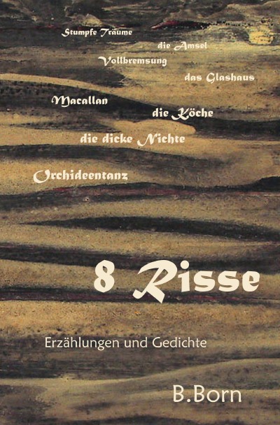 'Cover von 8 Risse'-Cover
