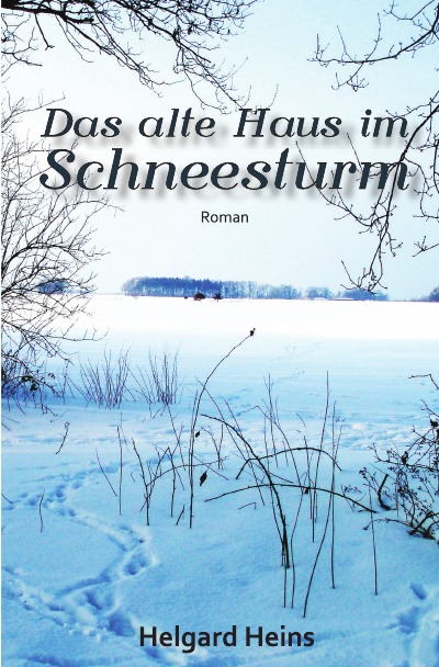 'Das alte Haus im Schneesturm'-Cover