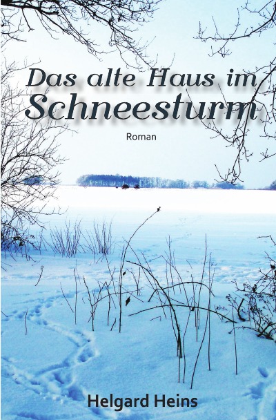 'Cover von Das alte Haus im Schneesturm'-Cover