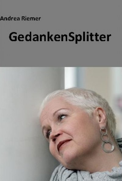 'GedankenSplitter'-Cover