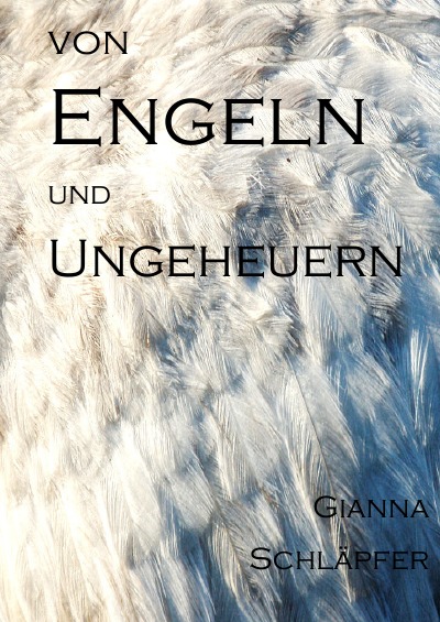 'von Engeln und Ungeheuern'-Cover