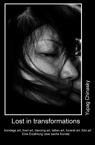 'Cover von Lost in transformations'-Cover
