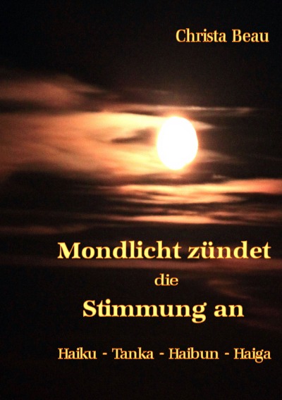 'Cover von Mondlicht zündet die Stimmung an'-Cover