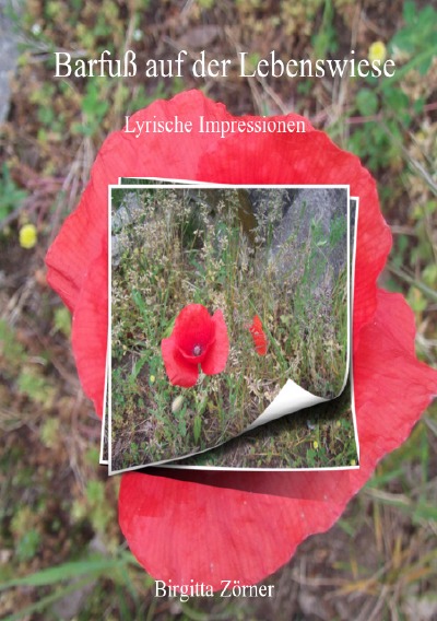 'Cover von Barfuß auf der Lebenswiese'-Cover