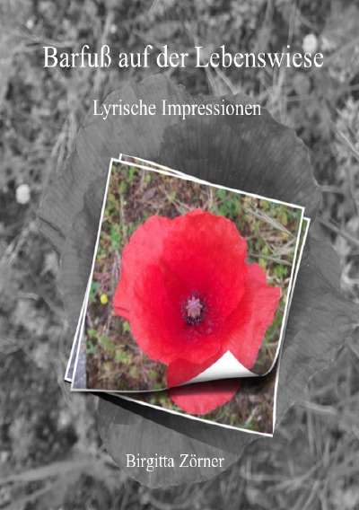 'Cover von Barfuß auf der Lebenswiese, Variante schwarz-weiß Fotos'-Cover