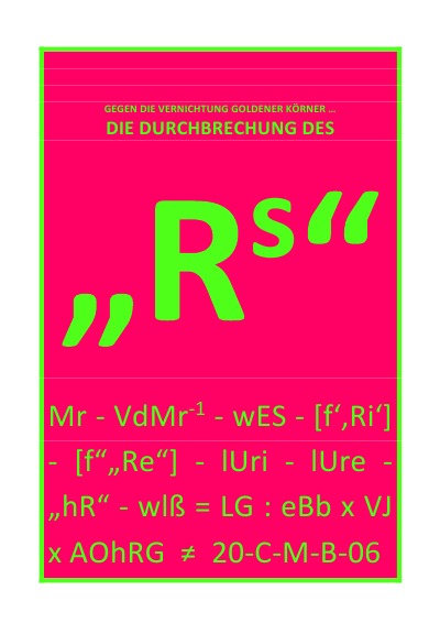 'DIE DURCHBRECHUNG DES „Rs“'-Cover