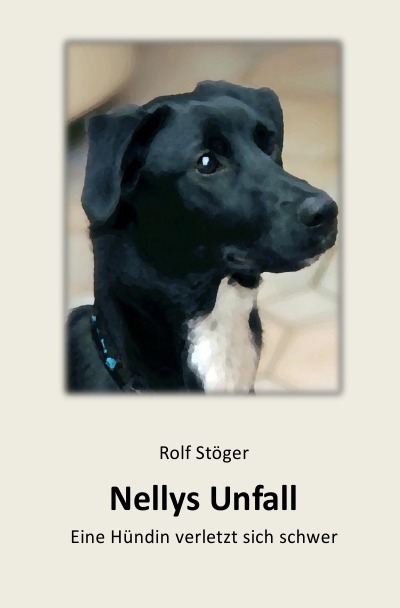 'Cover von Nellys Unfall'-Cover