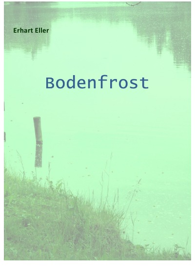 Cover von %27Bodenfrost%27
