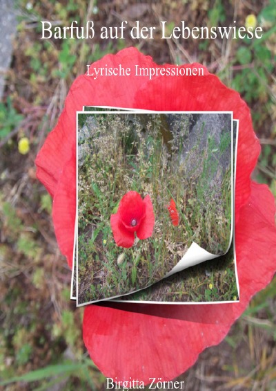 'Cover von Barfuß auf der Lebenswiese, Hardcover'-Cover