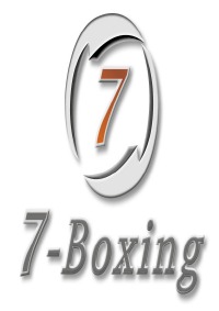 7-Boxing: Warum Manager boxen sollen - Christopher Herre