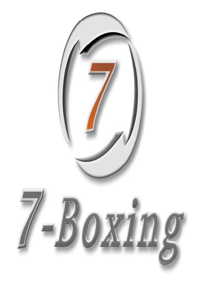 '7-Boxing: Warum Manager boxen sollen'-Cover