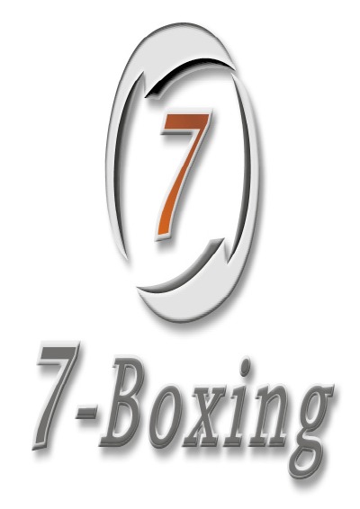 'Cover von 7-Boxing: Warum Manager boxen sollen'-Cover