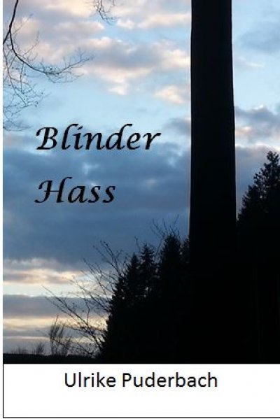 'Cover von Blinder Hass'-Cover